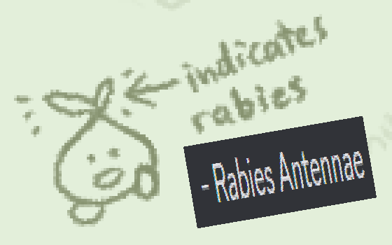 Doodle of a sprout mole, with an arrow pointing to its leaves labeled “indicates rabies”. Discord screenshot: “- Rabies Antennae”