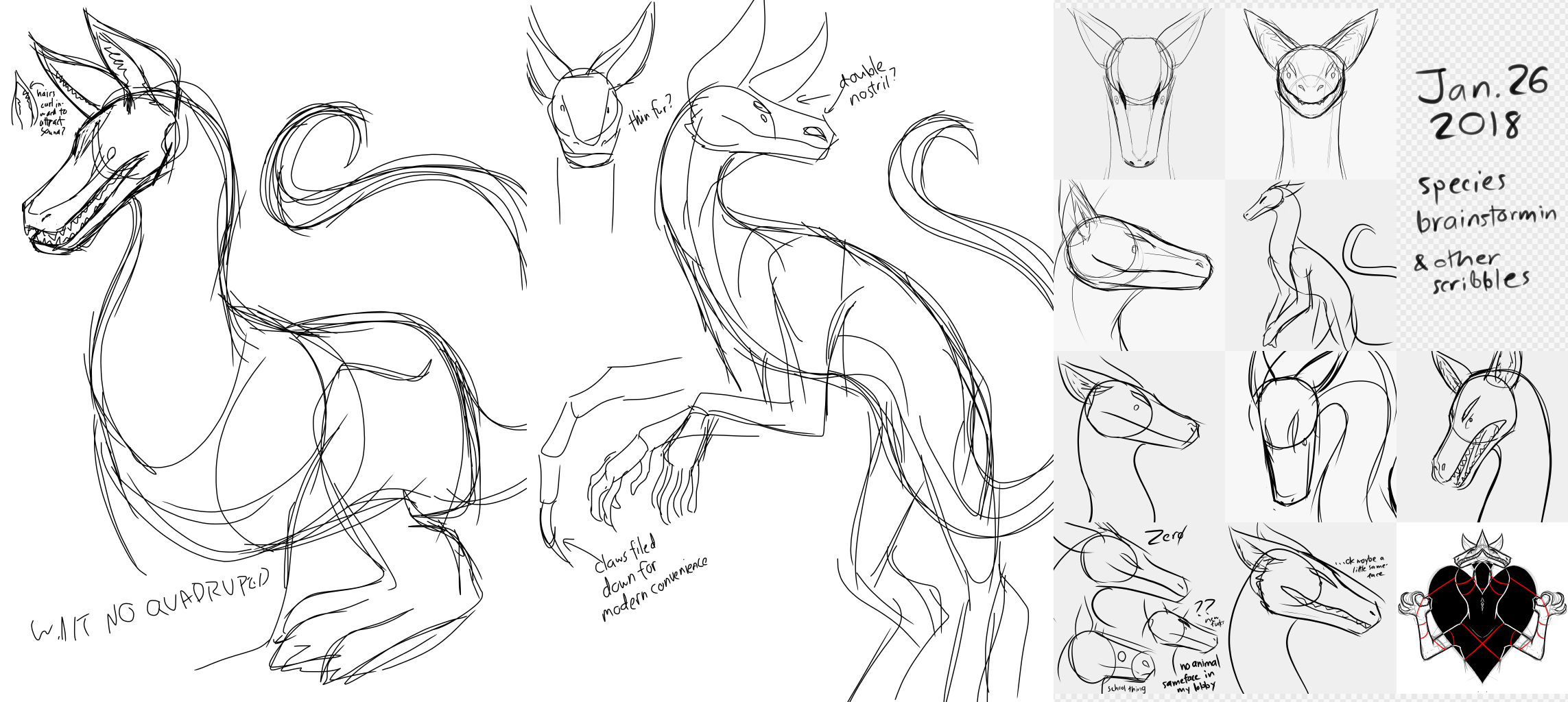 species scribs