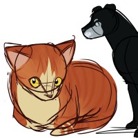 pets