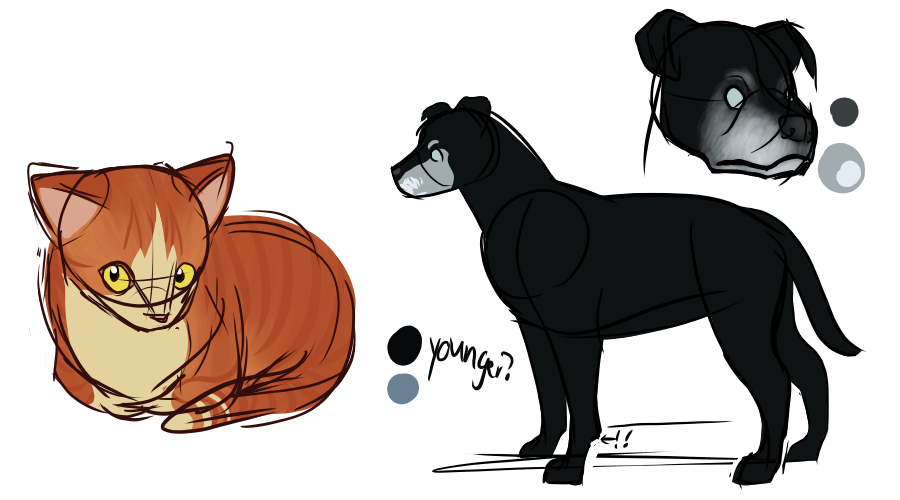 pets